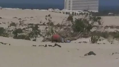 Sexy rubia con sexo lesbico gordas la elástica de la piel y le da una mamada y se la follan